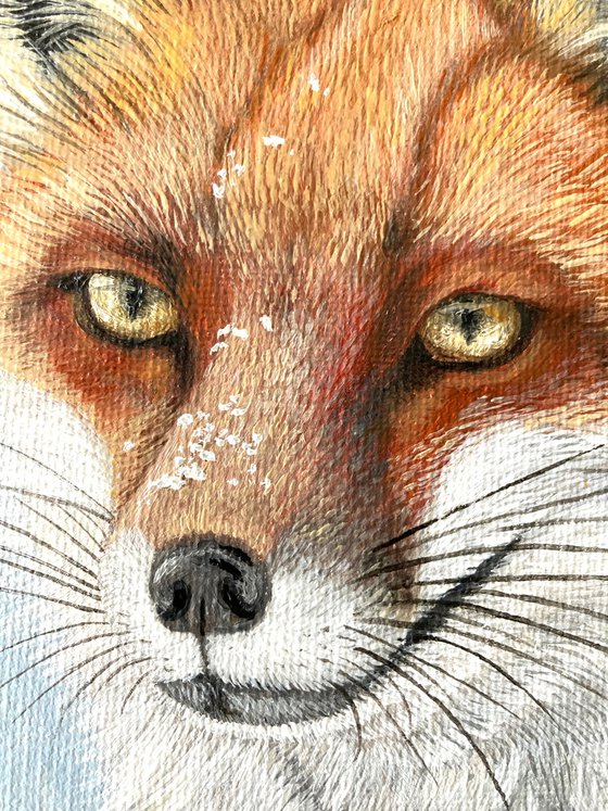 Red Fox In The Snow