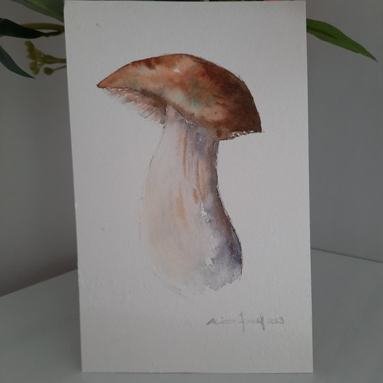 Mushroom Magic - Original Maushroom Watercolour - UK Artist