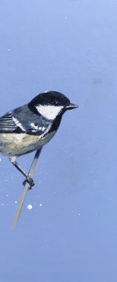 Coal Tit ~ on Powder Blue by Laure Bury