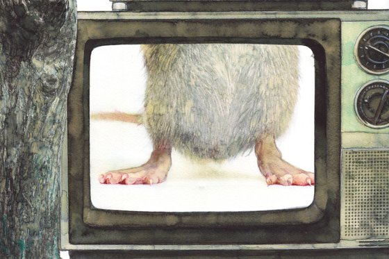 TV star in the world of mice and people