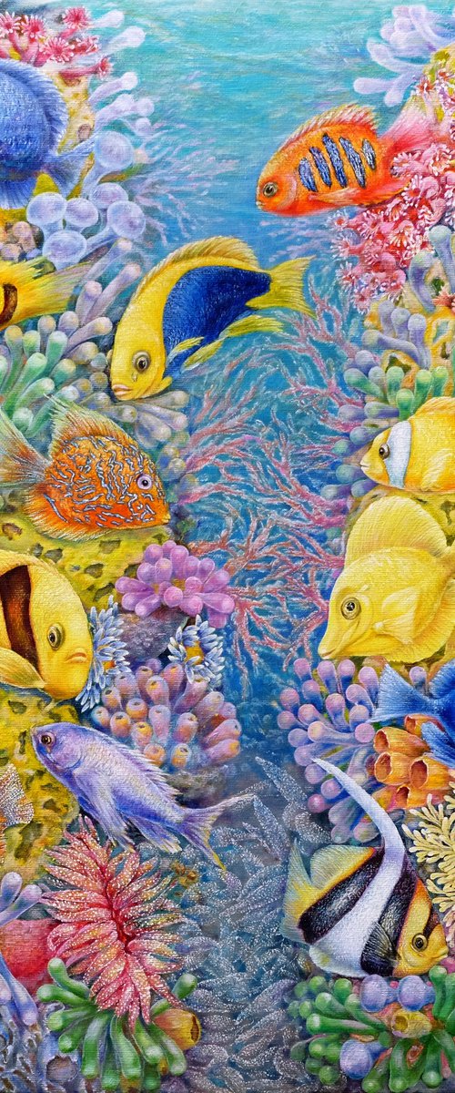 The Red Sea Reefs by Anastasia Woron