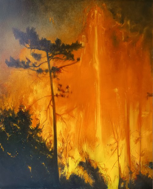Amber Blaze by Isabel Mahe