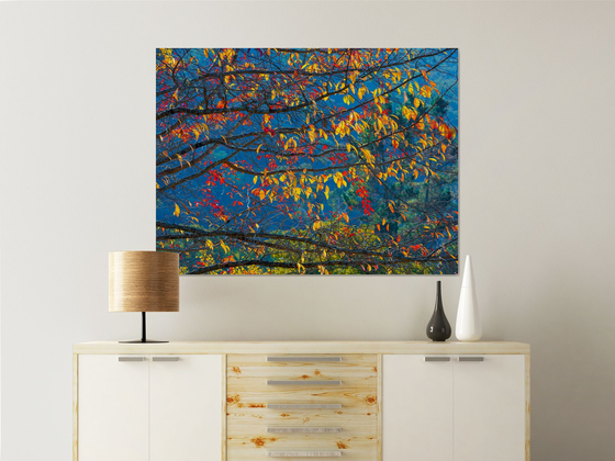 Autumn Tapestry