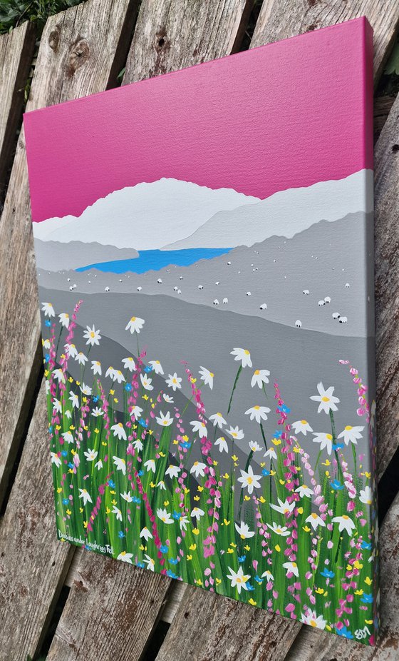 Daisies under Loughrigg Fell, The Lake District