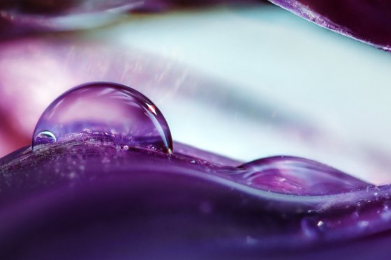 Onion Planet Dreamy Landscapes