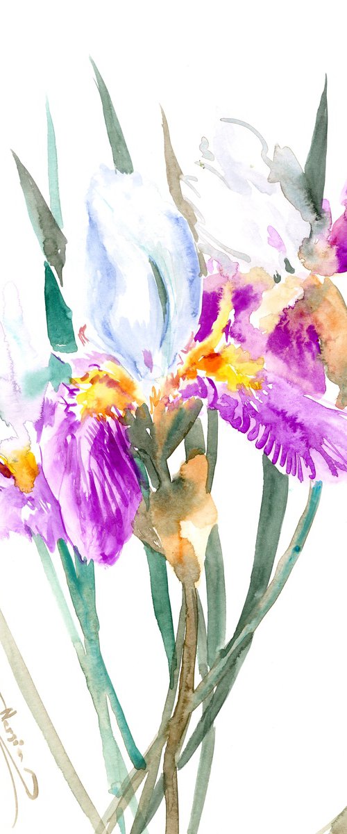 iris Flowers by Suren Nersisyan
