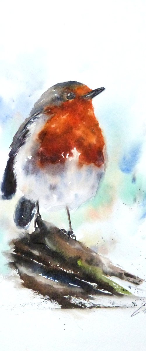 A Winters Robin by Graham Kemp