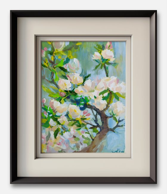 Apple blossom. Spring tree