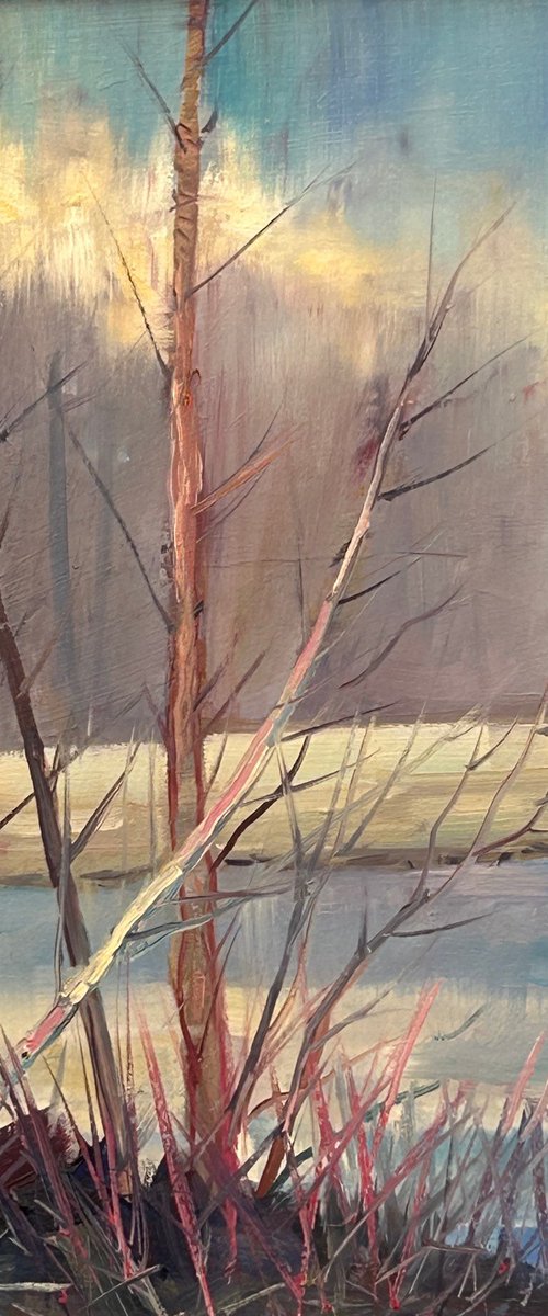 Anglesey Winter by Robert Wells