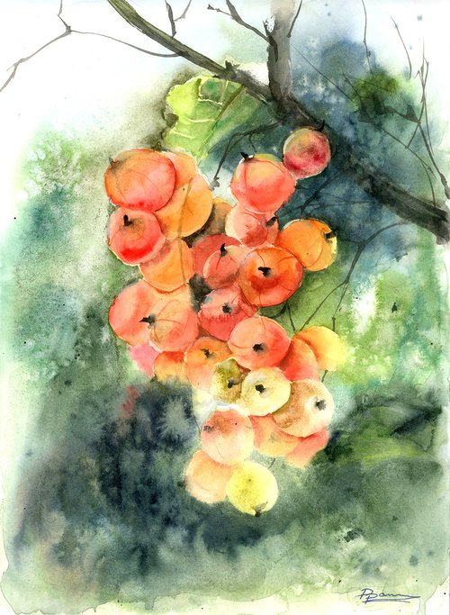 Berry Branch by Olga Shefranov (Tchefranov)