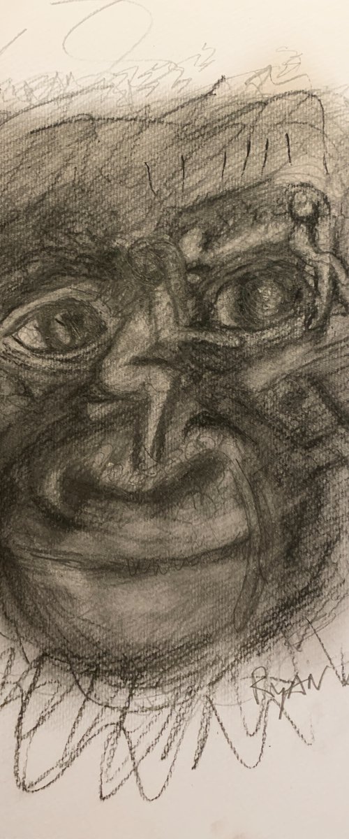 Study of a Gorillas Face by Ryan  Louder