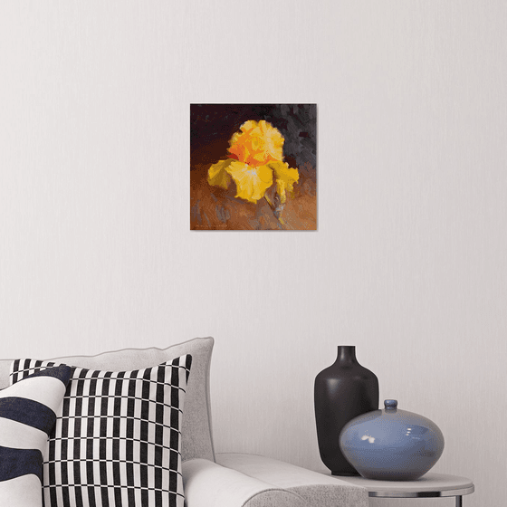 Yellow iris