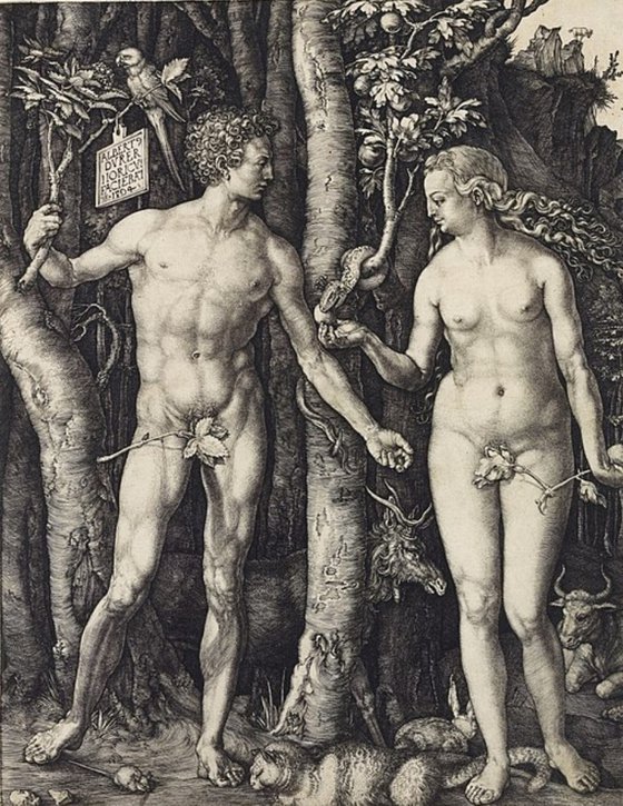 The Fall
