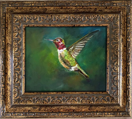 Astonishing Red Throat Humminbird Original Oil Painting 8x10 framed