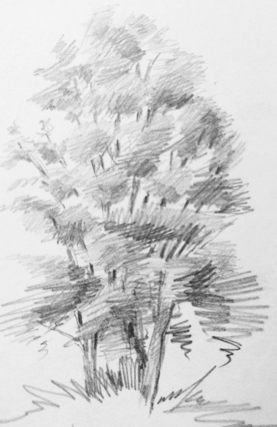 Plein air. Sketch # 7. Original pencil drawing.