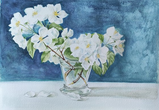 Apple tree blossom. Watercolor painting by Svetlana Vorobyeva