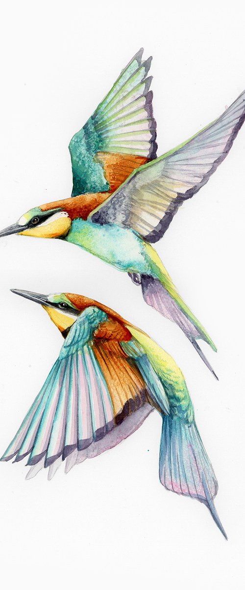 Bee eaters flying by Karolina Kijak