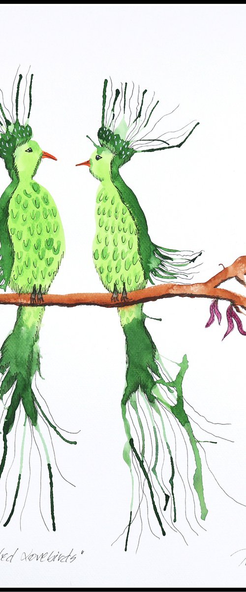 Greencrested Lovebirds by Mariann Johansen-Ellis