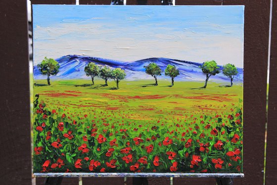 Napa Poppy Fields