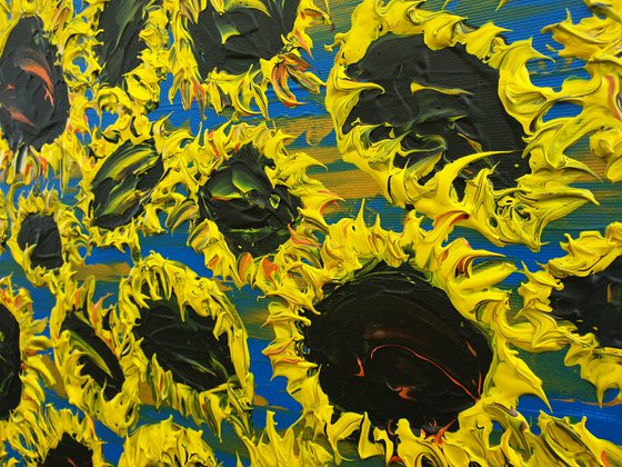 Blooming sunflowers 6