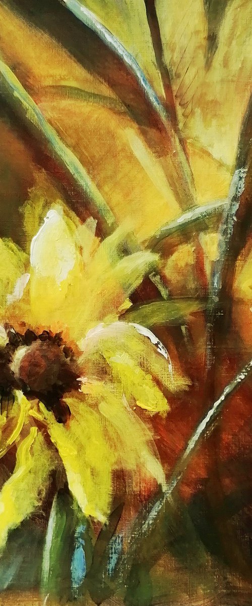 Sunflower's Light by Alan Harris