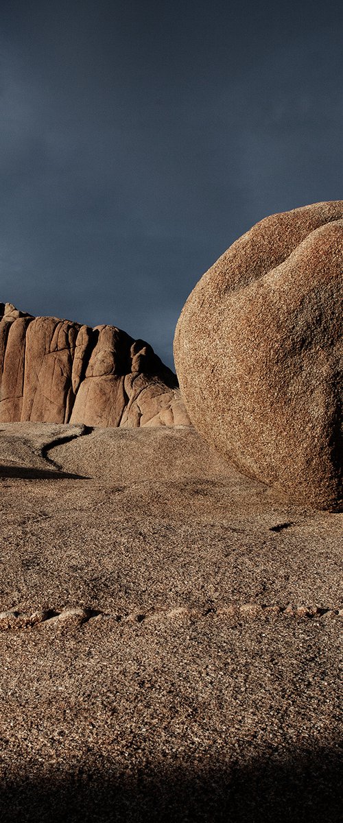 Joshua Tree, Late Light by Heike Bohnstengel