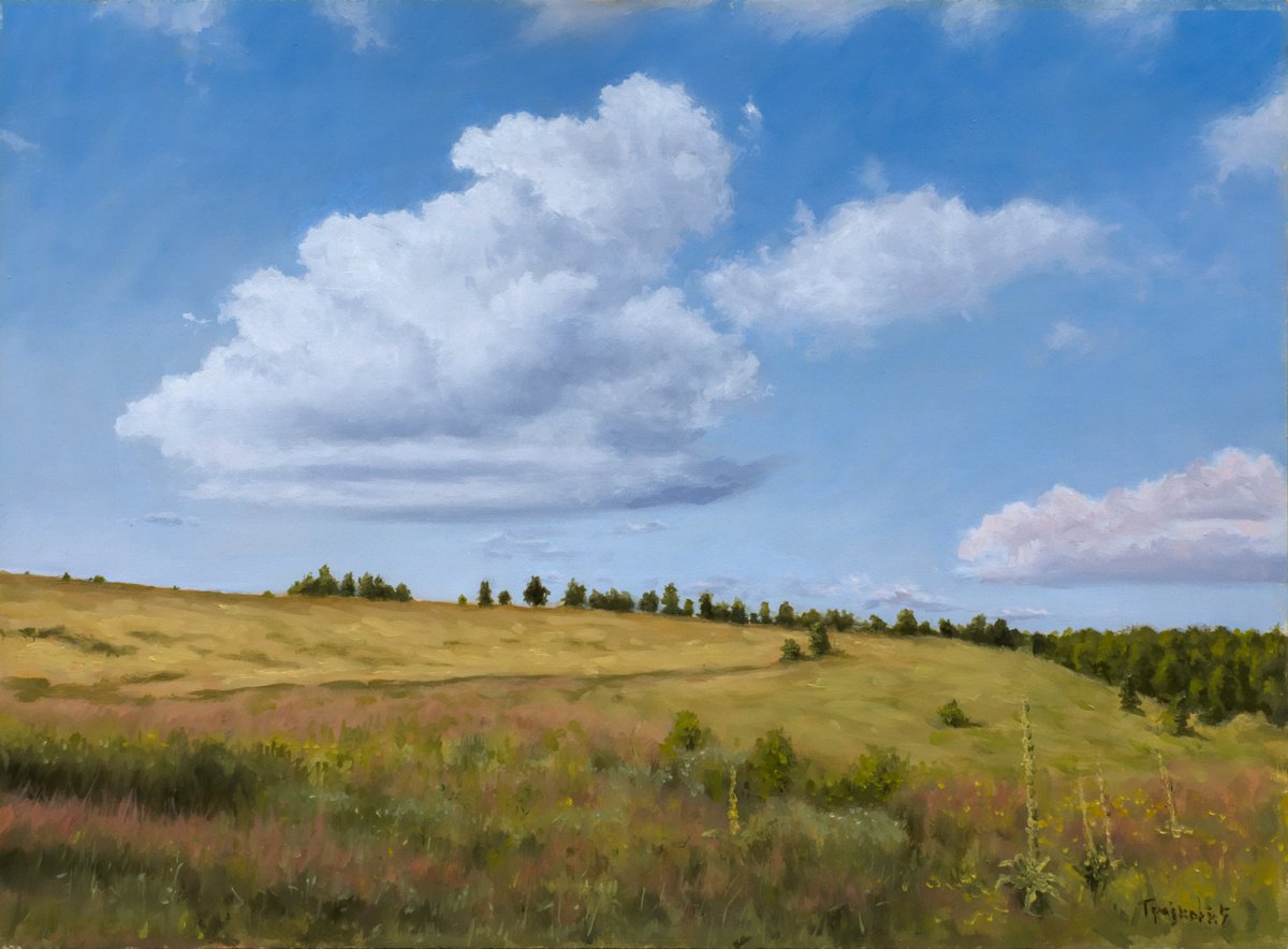 Impressionistic Landscape Oil Painting By Dejan Trajkovic, 26 X 20, Cloud And Meadow, Original Artwork