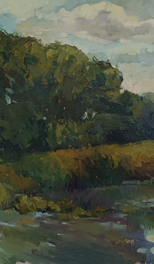 Summer silence by Tetiana Borys