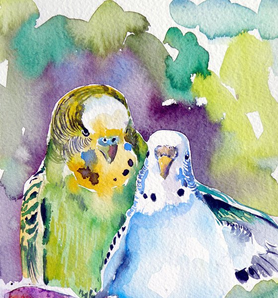 Cute parrots