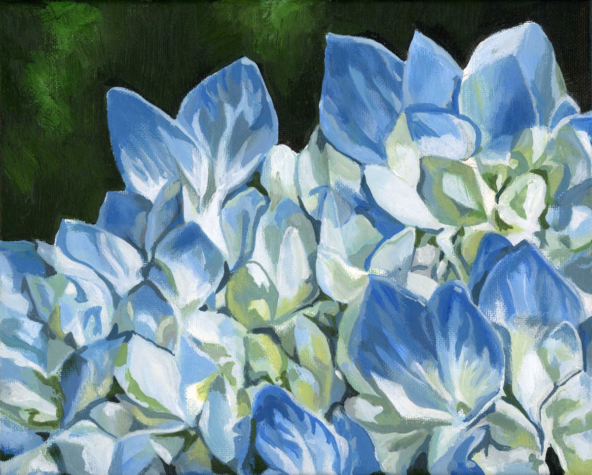 blue hydrangea acrylic painting by Alfred Ng