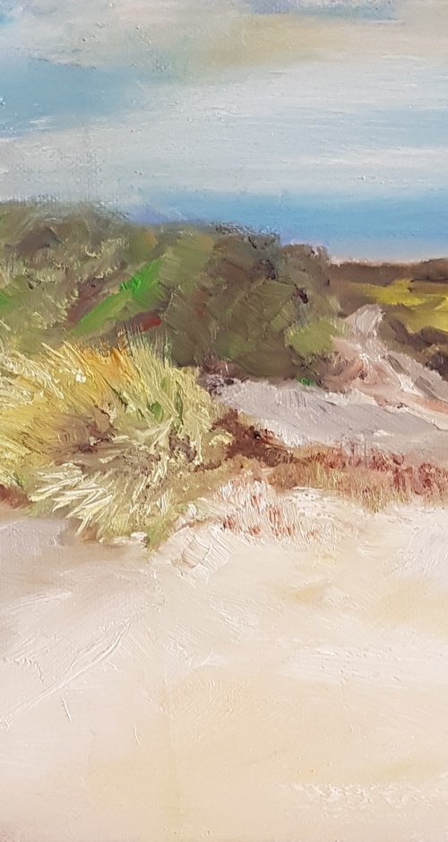 Sand dunes by Els Driesen