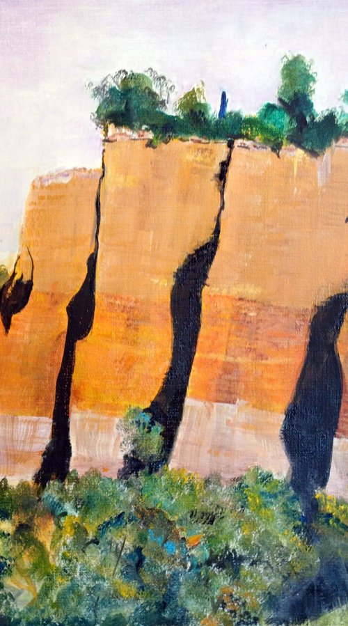 Roussillon V by Chris Walker