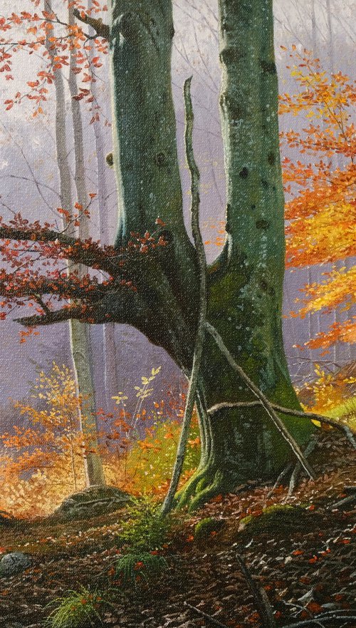 Windswept veterans by Mlynarcik Emil