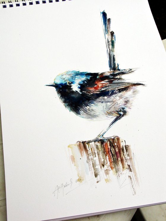 fairy wren A3