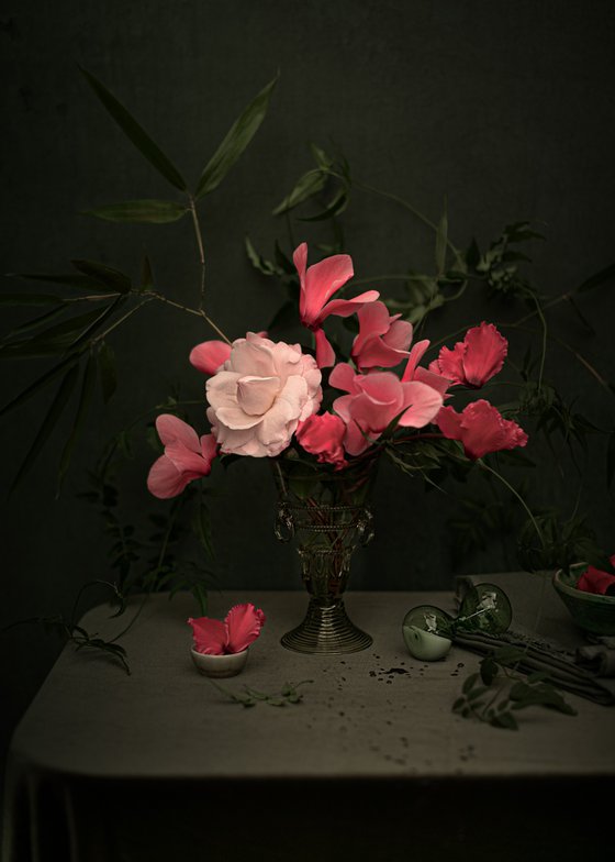 Greta's Camellias I