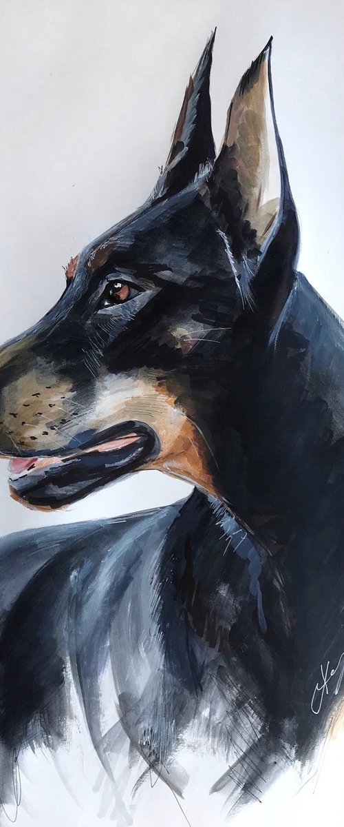 Acrylic watercolor ink painting pet portrait, Doberman Pincher, 15x21 inch by Leysan Khasanova