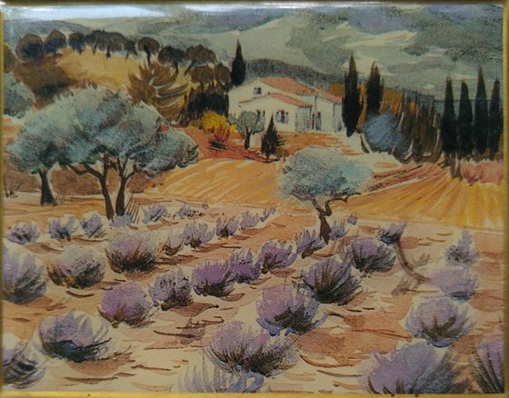 Landscape. Lavender blossom.