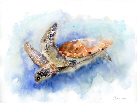 Swimming Sea turtle