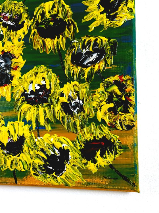 Blooming sunflowers 1