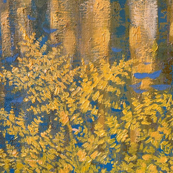 Coniferous forest & gold ferns