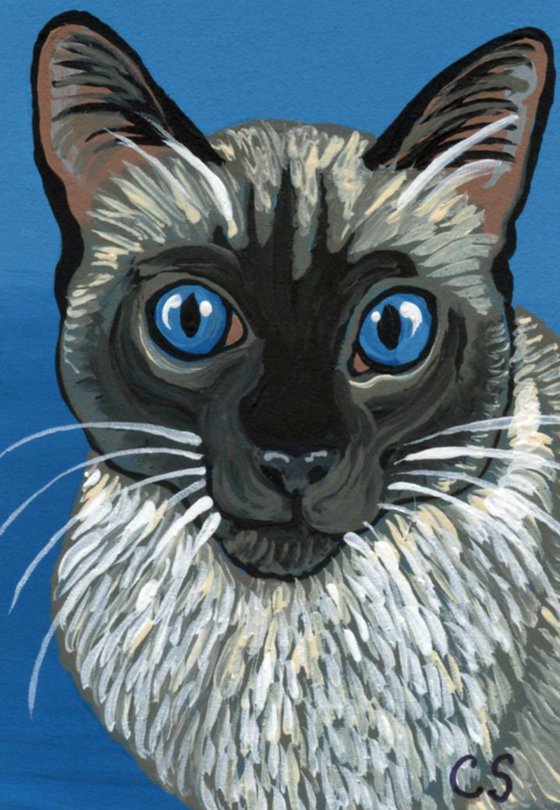 ACEO ATC Original Miniature Painting Siamese Pet Cat Art-Carla Smale