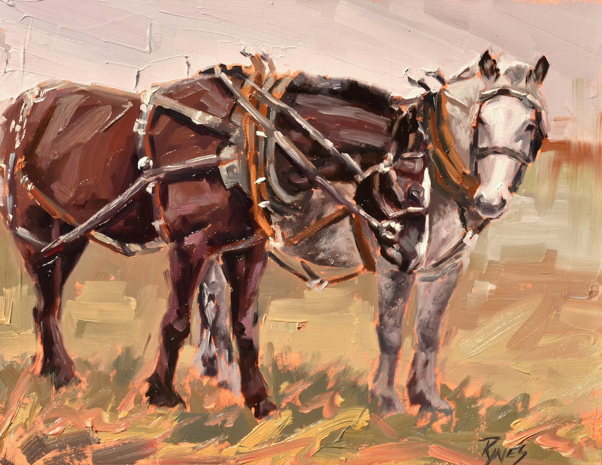 Amish Boys by Nancy Rynes