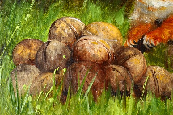 Squirrel and Walnuts