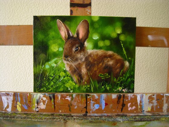 Rabbit Paintings Bunny