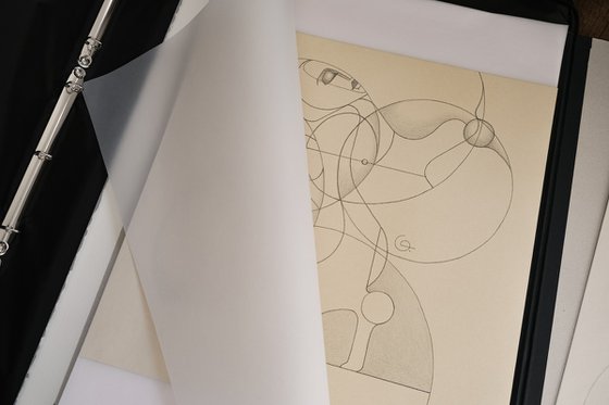 Duality. Impulsiveness - Prudence