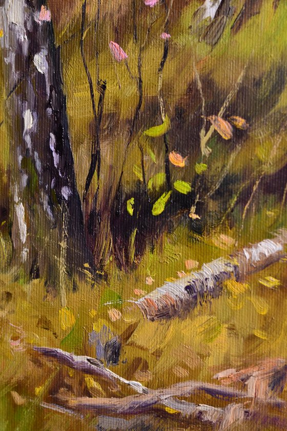 Birch grove