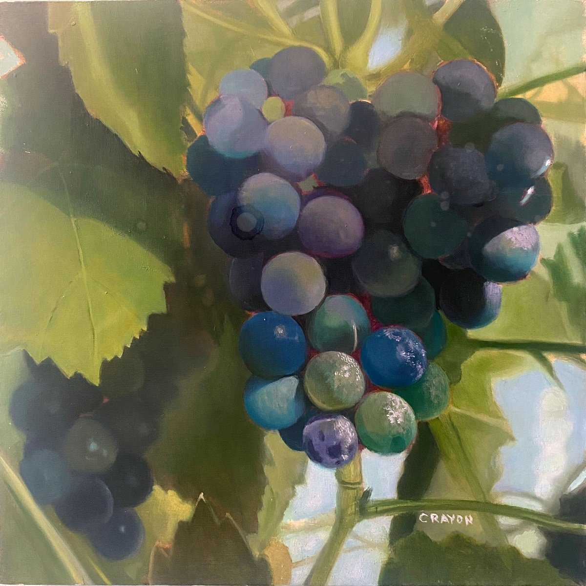 Impressionistic Botanical Oil Painting By Dennis Crayon, 12 X 12, Vibrant Grapes, Original Artwork
