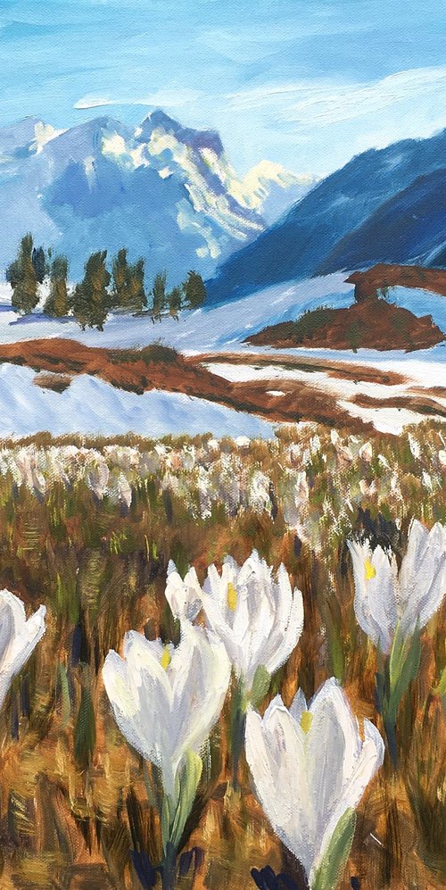 Spring in Alps by Elena Sokolova