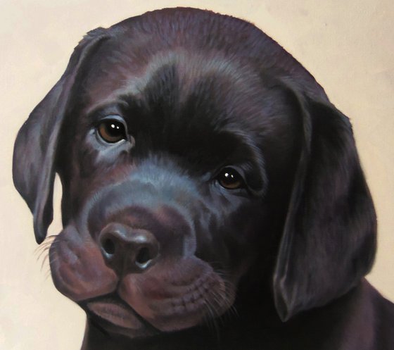 Doggy-1  (40x50cm, oil painting, ready to hang)