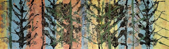 Leave No Trace /38
